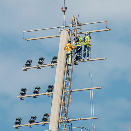 Explain and perform fall arrest techniques when working at height